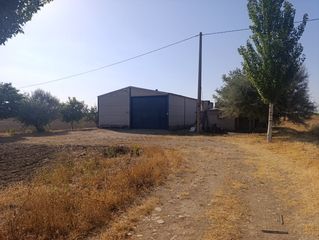 Finca rústica  Camino ajofrín. Oferta de nave y huerta