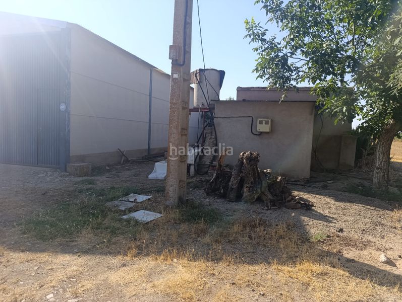 Foto 77b17cc8-52d5-42e2-b10b-98e337e2bd99. Finca rústica oferta de nave y huerta en Mora