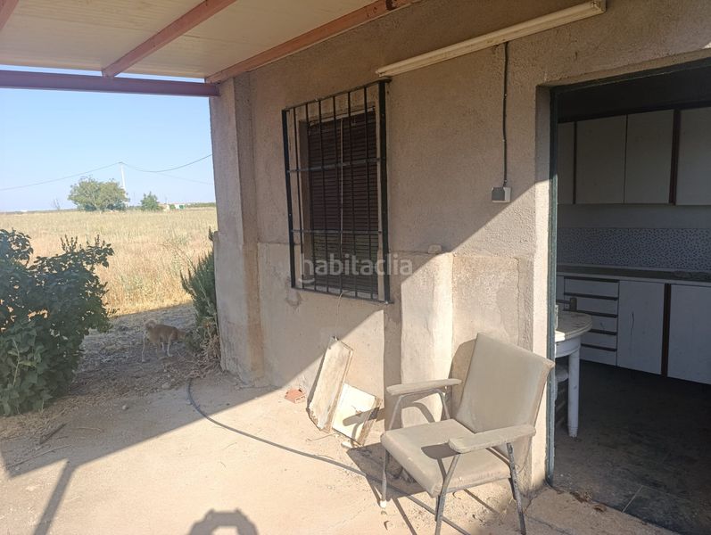 Foto 8d08de79-185f-43d3-aa10-c069ece27c7e. Finca rústica oferta de nave y huerta en Mora