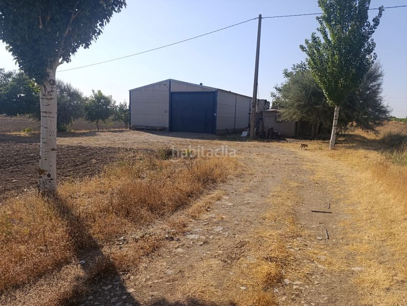 Foto b191fad7-cd58-4e84-acc3-589bd4498786. Finca rústica oferta de nave y huerta en Mora