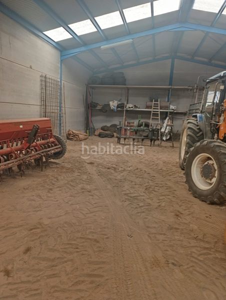 Foto b715569a-28c0-4ad9-8a80-a747b70cdf52. Finca rústica oferta de nave y huerta en Mora