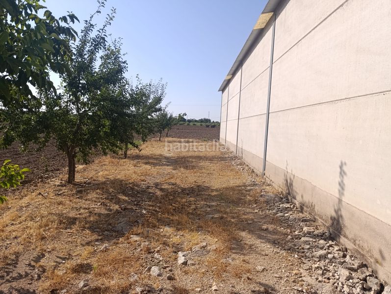 Foto cadbe1f8-7470-48f5-8745-f06c60412583. Finca rústica oferta de nave y huerta en Mora