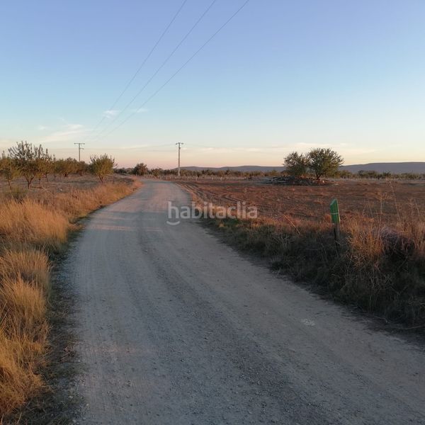 Foto 87d5c62a-7f08-4023-8641-309fd36988db. Finca rústica a Orgaz