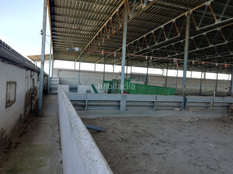 Foto d44d96b5-51c5-4f39-909d-0f17f87b1b3c. Finca rústica a Orgaz
