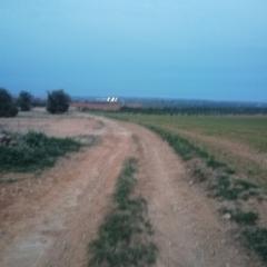 Finca rústica a Antequeruela-Covachuelas. Finca rustica de 50hectareas de labor