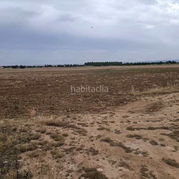 Foto ffb0b5ad-515f-4ee7-9a77-6da30929a2c3. Finca rústica a Mora