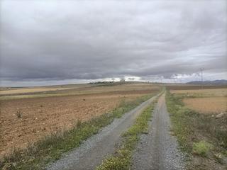 Finca rústica a Mora