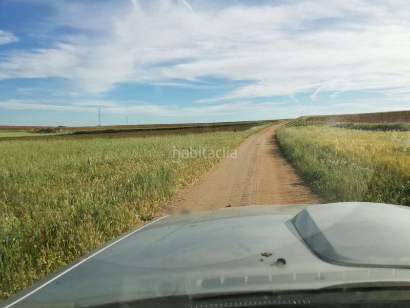 Foto 81ea7eef-4173-4dd7-aada-9245c3675590. Finca rústica a Mora
