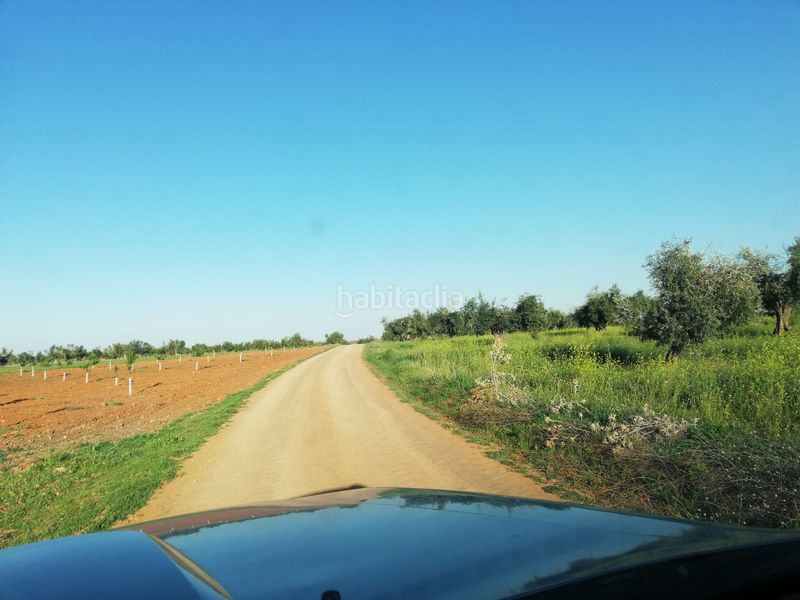 Foto a6387a75-d232-4fe6-bc1c-2c7b7c8b5eee. Finca rústica a Mora