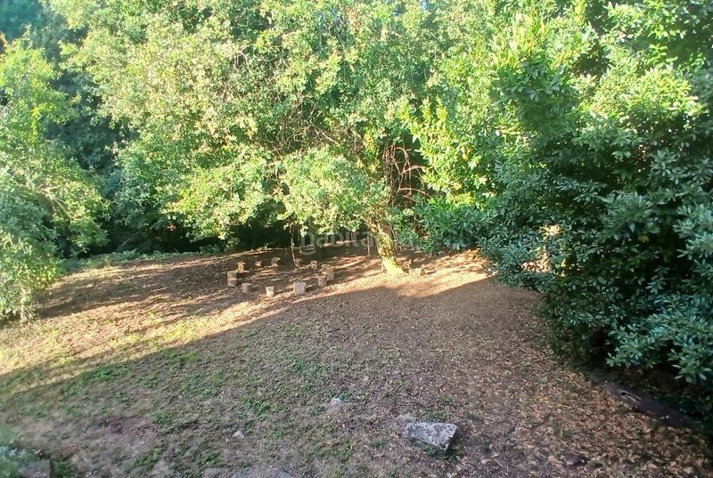 Foto fbe6133d-6513-4741-91e9-bd60a3ba16b6. Masia a Crecente