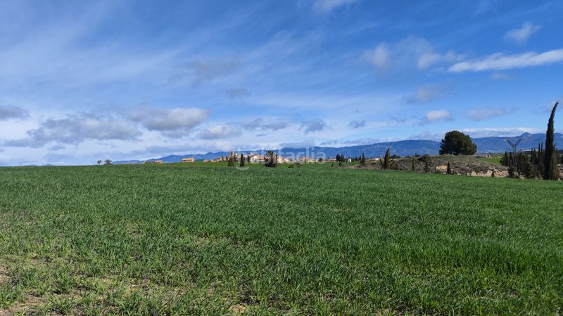 Foto ce58ad36-bfef-4ac8-b3a8-7cced13b2423. Fondo rustico in urbanización viña del romero 16 in Lupiñén - Ortilla