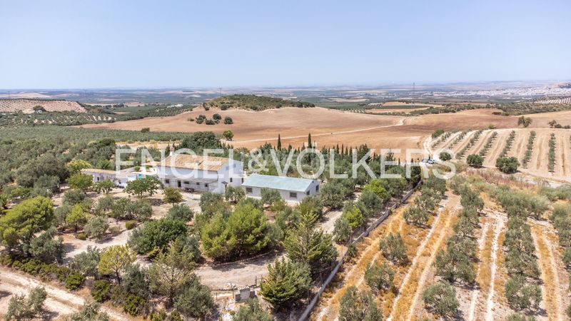 Foto 0a2175ef-2649-40a8-bdee-b9f9fe69300b. Casa amb calefacció piscina a Osuna