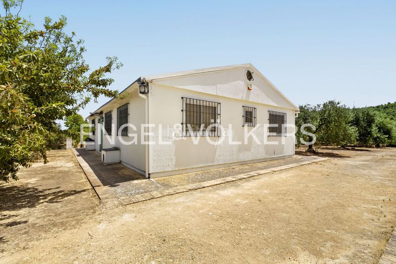 Foto 2a807a39-88fb-4d48-b83c-ffde4dd9e60c. Casa amb calefacció piscina a Osuna