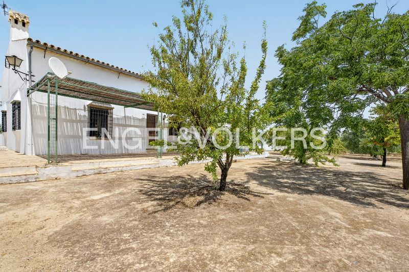 Foto b41c9446-2bcc-4f84-8807-cfeb65e5dd14. Casa amb calefacció piscina a Osuna