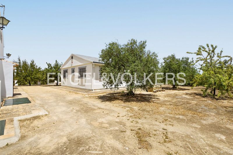 Foto dd47d4e4-9d4a-4afc-ae77-4d060bbc1796. Casa amb calefacció piscina a Osuna