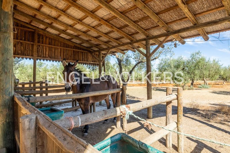 Foto ba53ac95-f133-4d45-8343-23a8c33ca101. Bauernhof mit heizung parking in Bulevar Norte Mairena del Aljarafe