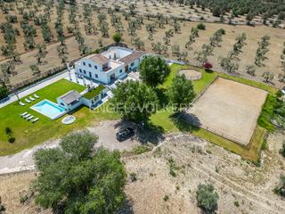 Bauernhof en Colegio Europa. Oasis de paz en medio de un olivar en espartinas