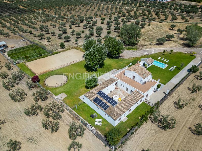 Foto 1463d5cb-f95f-4915-acf6-96f0f9a263b4. Masia amb calefacció piscina a Colegio Europa Espartinas