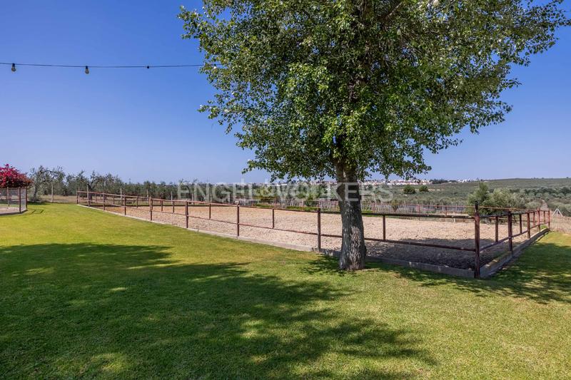 Foto 2a30d921-95b1-4edf-ab90-70df7227512d. Masia amb calefacció piscina a Colegio Europa Espartinas