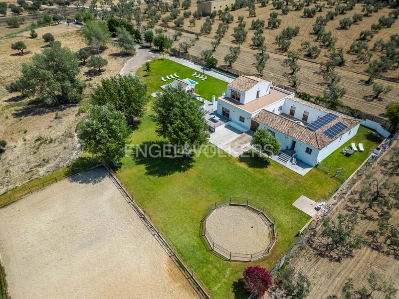 Foto 36c22ddf-0346-405f-8fb9-0764d24f0198. Masia amb calefacció piscina a Colegio Europa Espartinas