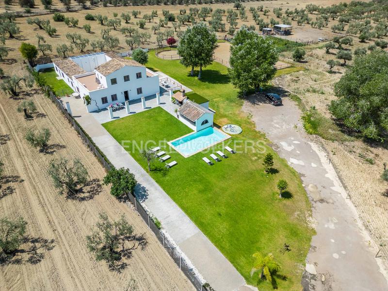 Foto 42b18002-1eda-48f2-b1d6-ded5b036df6c. Masia amb calefacció piscina a Colegio Europa Espartinas