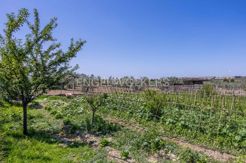 Foto 66b6a041-22e9-474c-b733-d5452e14464e. Masia amb calefacció piscina a Colegio Europa Espartinas