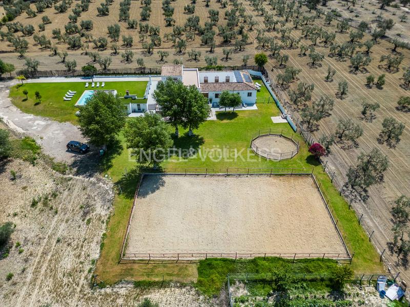 Foto 66f33118-7d28-4772-8cd7-eda4fa2235b8. Masia amb calefacció piscina a Colegio Europa Espartinas