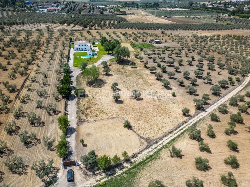 Foto 68ef0b0f-89e4-4871-833a-a82d6d817644. Masia amb calefacció piscina a Colegio Europa Espartinas