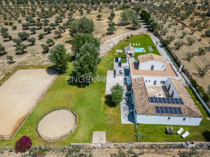 Foto 8b344ee8-b3f7-42fe-ba98-fd60757523c0. Masia amb calefacció piscina a Colegio Europa Espartinas