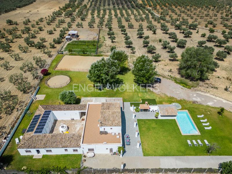 Foto b8ff45c8-b490-4840-af63-80cddb170e24. Masia amb calefacció piscina a Colegio Europa Espartinas