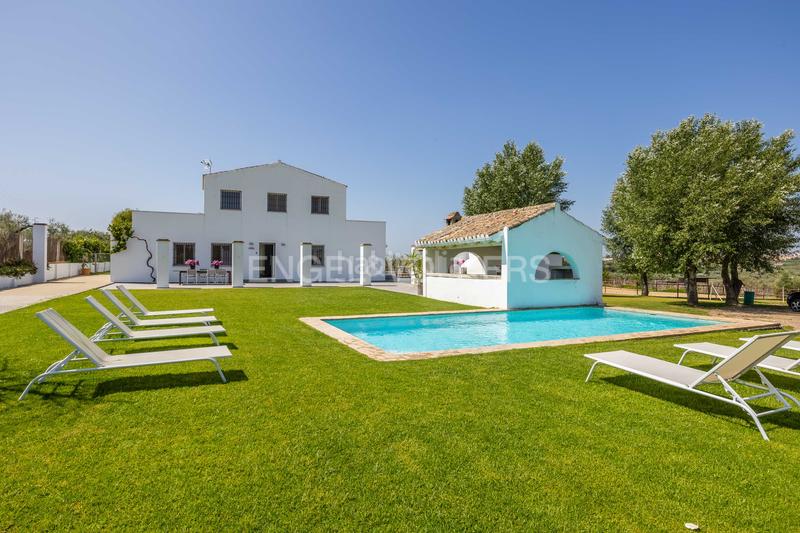 Foto b955ecfb-a950-45d0-9ee6-7315b9d91810. Masia amb calefacció piscina a Colegio Europa Espartinas