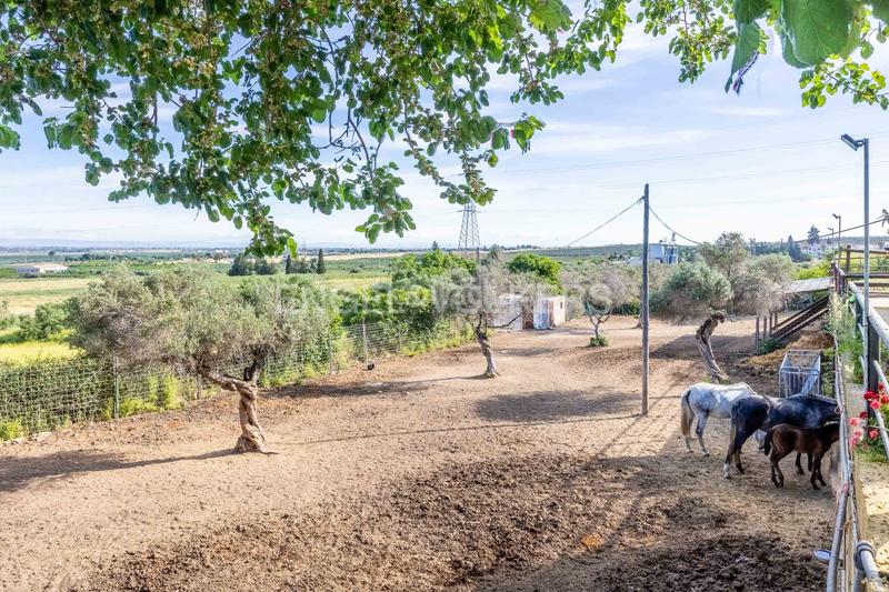 Foto afbc552b-01d5-4593-9b86-9265a63ac075. Casale con riscaldamento piscina in La Paz Alcalá de Guadaira