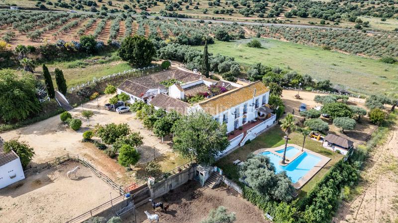Foto b57bb5bf-be73-4538-82fe-8399a748ec64. Casale con riscaldamento piscina in La Paz Alcalá de Guadaira