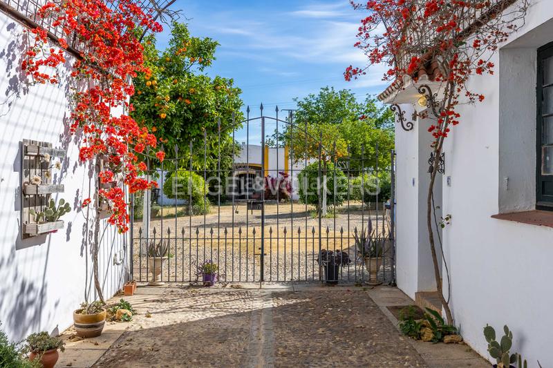 Foto c93671e1-313a-4a17-a77c-b08b3a9f7dcb. Casale con riscaldamento piscina in La Paz Alcalá de Guadaira