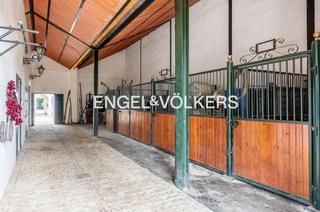 Maison à Valencina de la Concepción. Exclusiva finca ecuestre a 10 minutos de sevilla un paraíso para