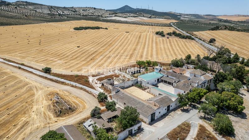 Foto 1a6ad168-b836-4b66-99e9-8c8f1a5dc858. Casa amb calefacció aparcament piscina a Osuna