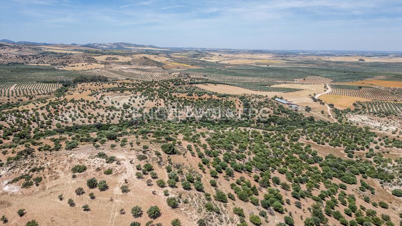 Foto 6e645d66-010b-43a8-9ad6-d481a12df6d8. Casa amb calefacció aparcament piscina a Osuna