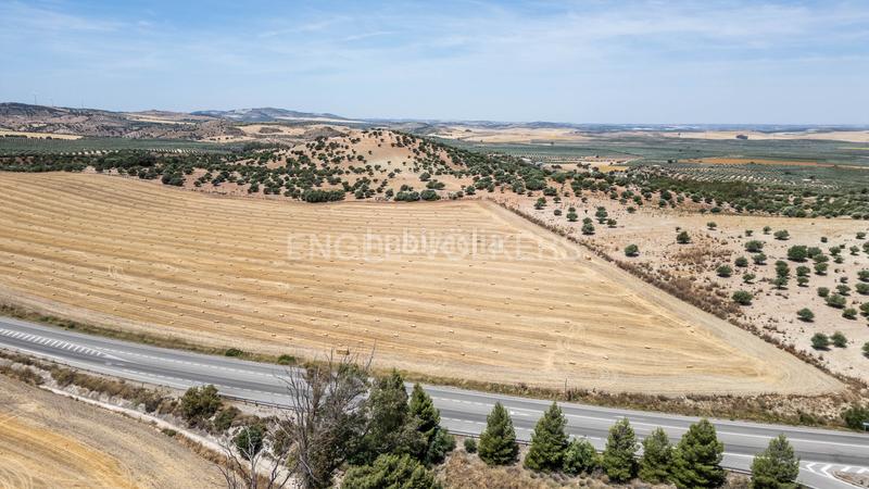 Foto 8d2696e8-5c62-45ed-980c-2169a5614d32. Casa amb calefacció aparcament piscina a Osuna