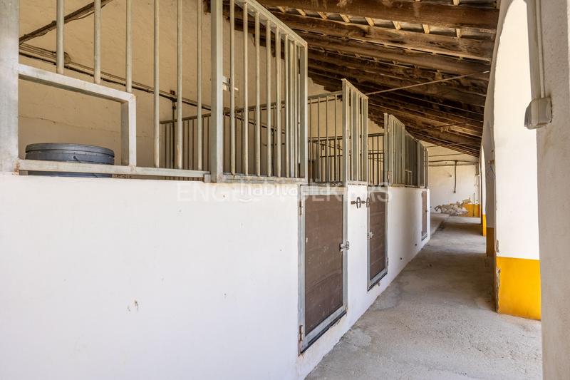 Foto a763dc62-f97a-4b30-b126-2255a75bef3c. Casa amb calefacció aparcament piscina a Osuna