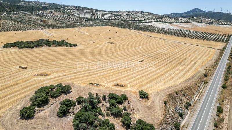 Foto b6ea34cb-999c-4b33-a336-fa735de9954f. Casa amb calefacció aparcament piscina a Osuna