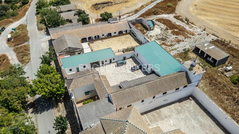 Foto d4d7bdee-1567-4743-951e-20d637278ef3. Casa amb calefacció aparcament piscina a Osuna