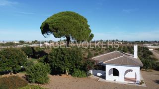 Masia  Camino de sanlucar. Un paraíso andaluz finca privada con piscina, naranjos en el cam
