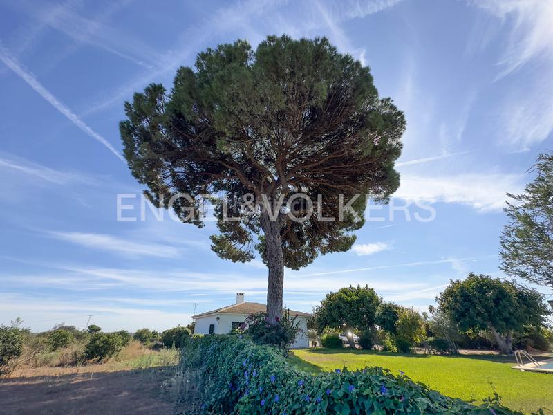 Foto 056e9e9f-86aa-4273-9d61-4c70e0738dbc. Mas avec chauffage dans Sanlúcar la Mayor