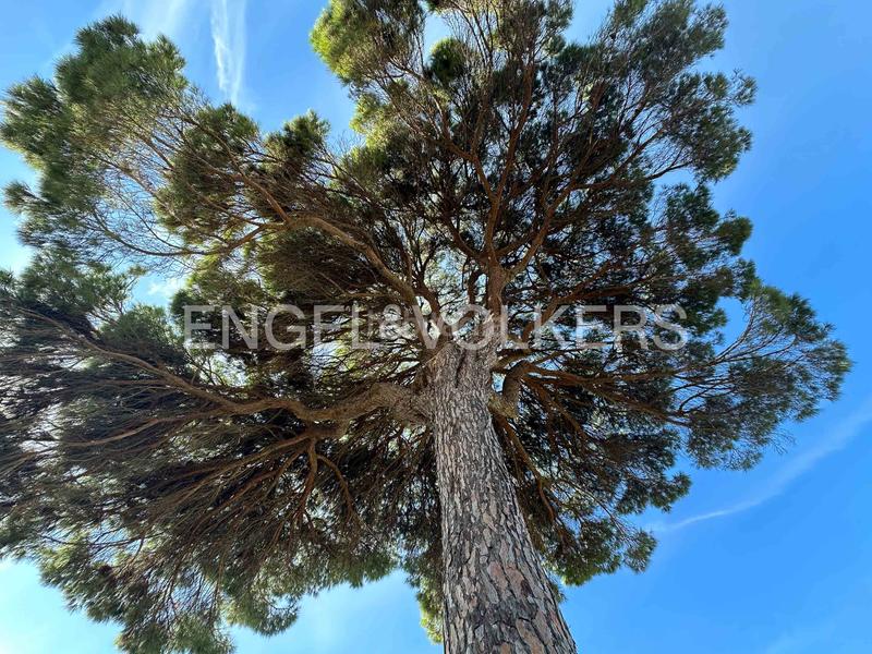 Foto 0dc270c5-0fd0-413b-8de2-71c5ec44a023. Mas avec chauffage dans Sanlúcar la Mayor