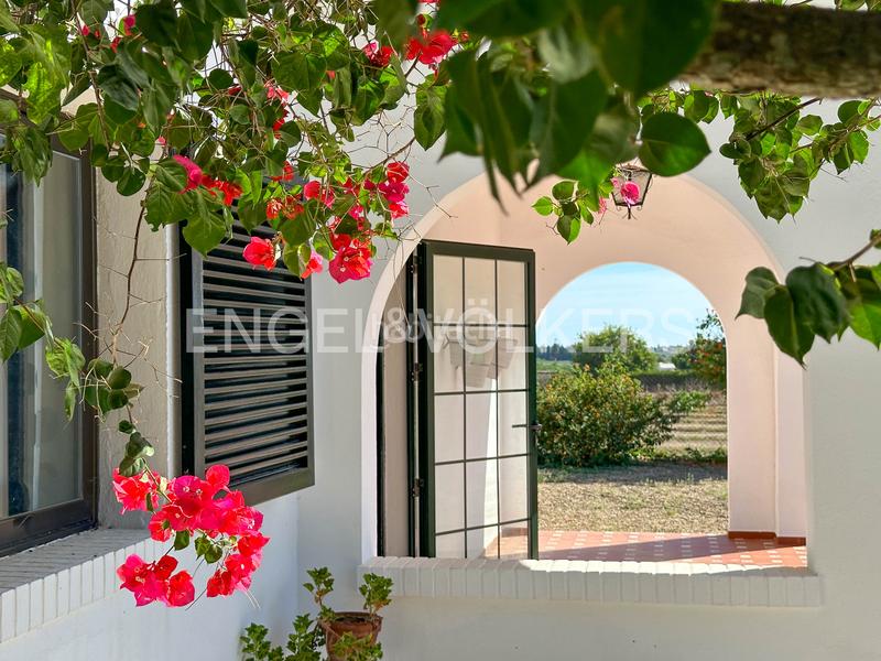 Foto 32a6040b-6095-492d-9721-4d938fac2685. Mas avec chauffage dans Sanlúcar la Mayor