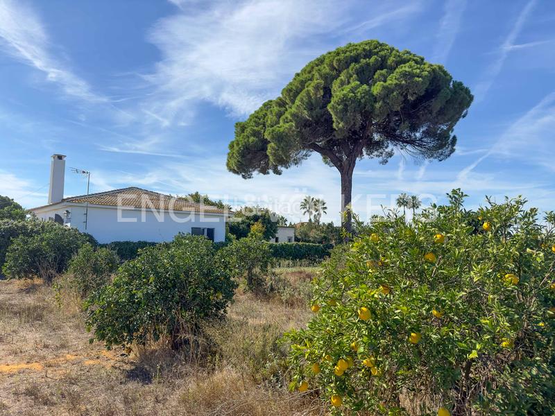 Foto 67721784-5d46-43ee-bf1b-b3b7a575ee36. Mas avec chauffage dans Sanlúcar la Mayor