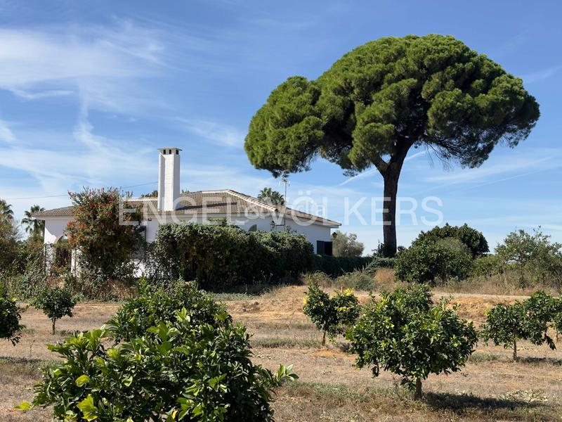 Foto 6d99b6e2-8cdb-4725-bf63-0eb486935e95. Mas avec chauffage dans Sanlúcar la Mayor