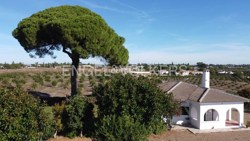 Foto b218a70a-c836-470a-8406-071429cb5449. Mas avec chauffage dans Sanlúcar la Mayor