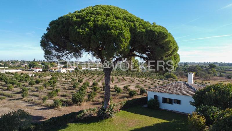 Foto b57dcd9f-49f1-4e12-8d6f-a283fdc26903. Mas avec chauffage dans Sanlúcar la Mayor