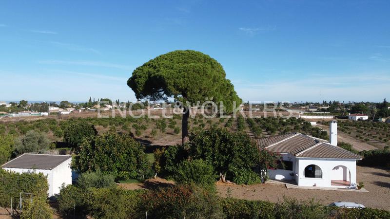 Foto c2b3b619-9276-43e7-a883-8d9b26321895. Mas avec chauffage dans Sanlúcar la Mayor